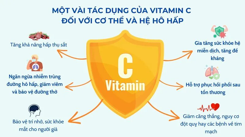 Vitamin C hỗ trợ hoạt động của hệ miễn dịch và giúp cơ thể duy trì sức đề kháng tự nhiên