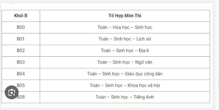hoi-dap-khoi-b-gom-nhung-mon-nao-1234